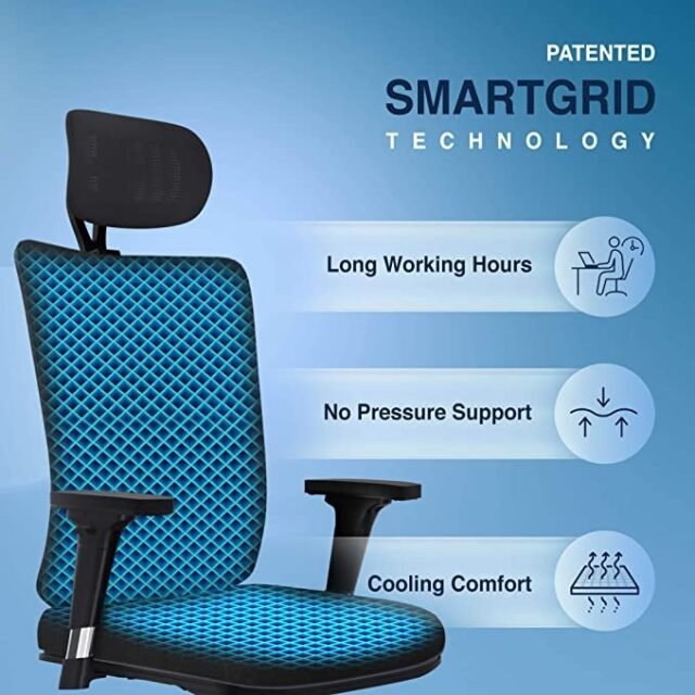 The Sleep Company SmartGRID Onyx Orthopedic Chair for Home & Office |Adjustable Lumbar Support for Ergonomic Sitting Posture|Made in India|Multiple Adjustments Mechanism(Classic Black & Grey)