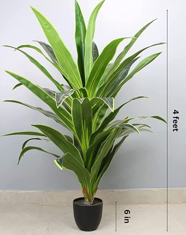 Elemntl Artificial Large Floor Plant with Plastic Pot for Home Decor (Height: 4 feet) | Decoration Items for Living Room | Decorative Table Top Indoor Plants Bonsai for Office (Dragon Plant 4 feet)